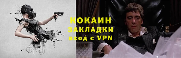 дживик Арсеньев