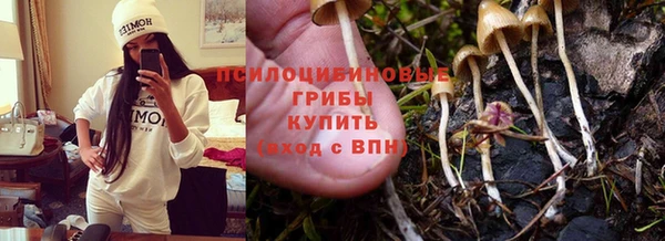 СК Армянск