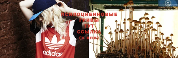дживик Арсеньев