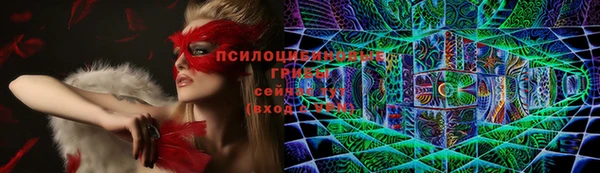 дживик Арсеньев