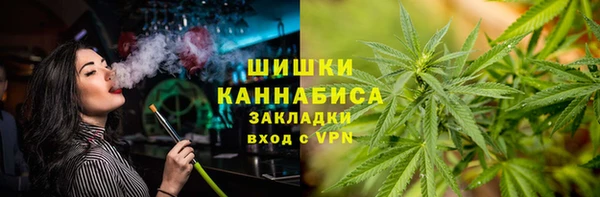 дживик Арсеньев